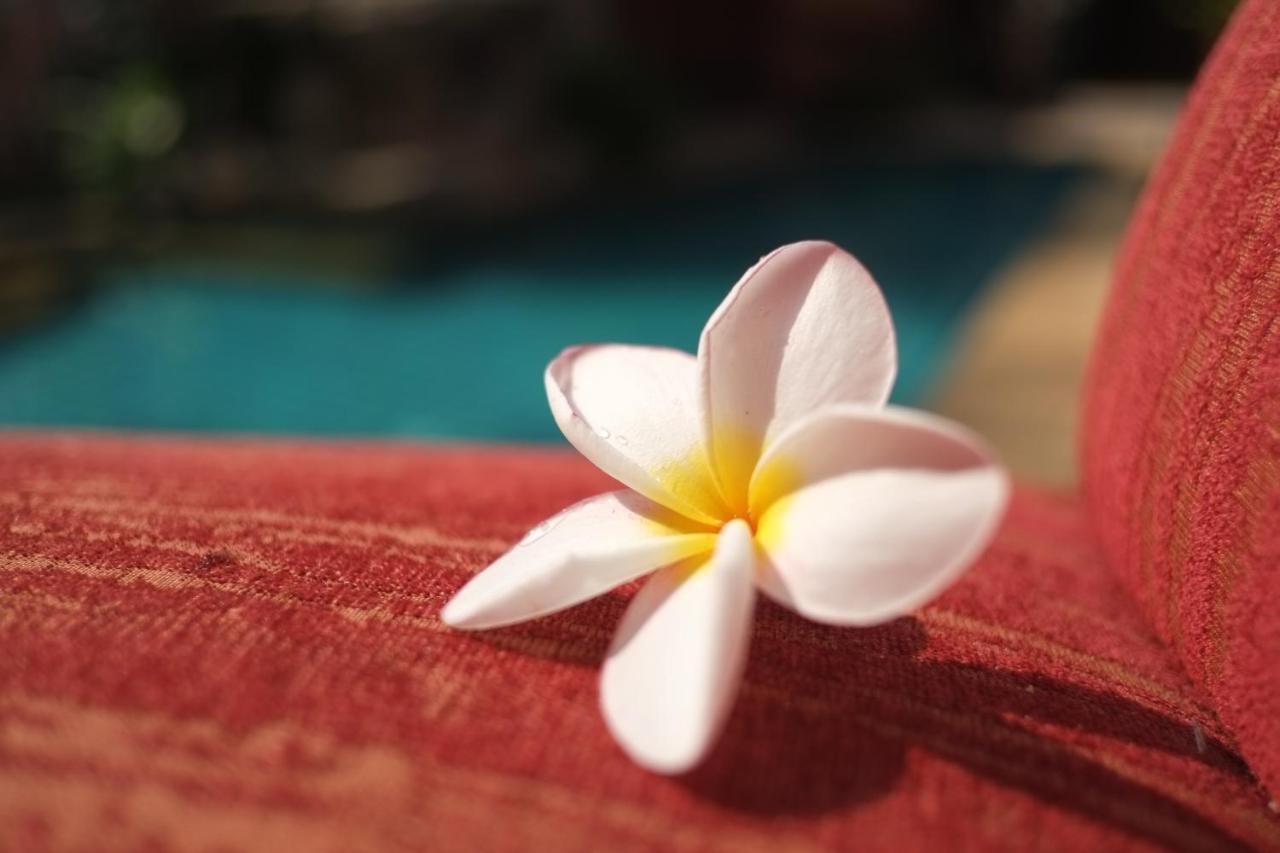 พระตำหนักวิลล่า 10 ห้องนอน พร้อมสระว่ายน้ำส่วนตัว Pattaya Eksteriør billede